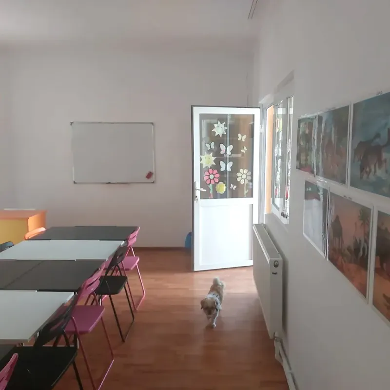 Sală de teme cu mese albe și negre, scaune colorate, tablă albă și planșe pe perete