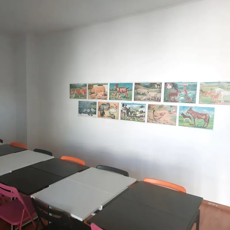 Sală de curs luminoasă, cu mese pregătite și planșe cu animale pe perete